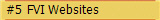 #5  FVI Websites